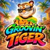 Groovin Tiger
